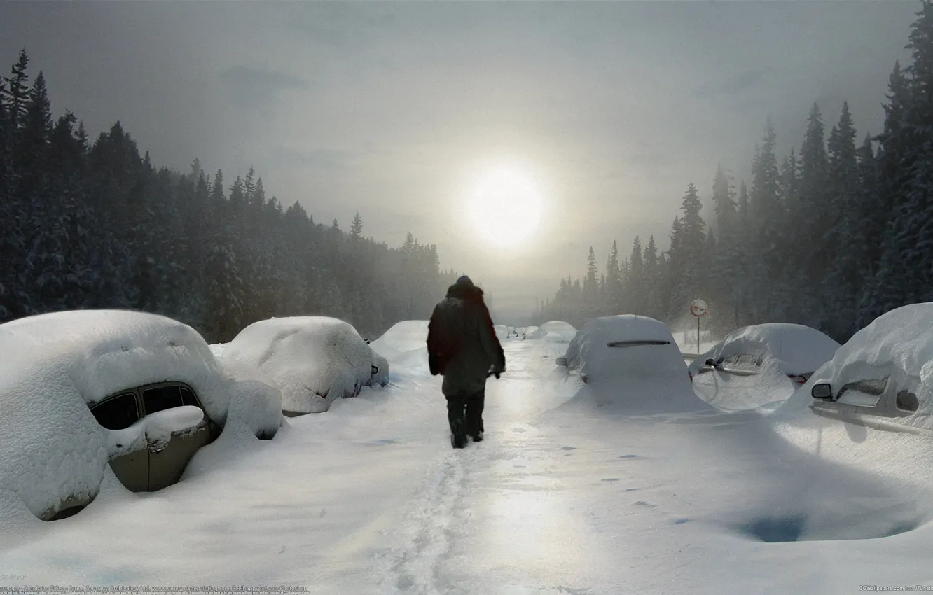 Фото обои зима, дорога, лес, снег, машины