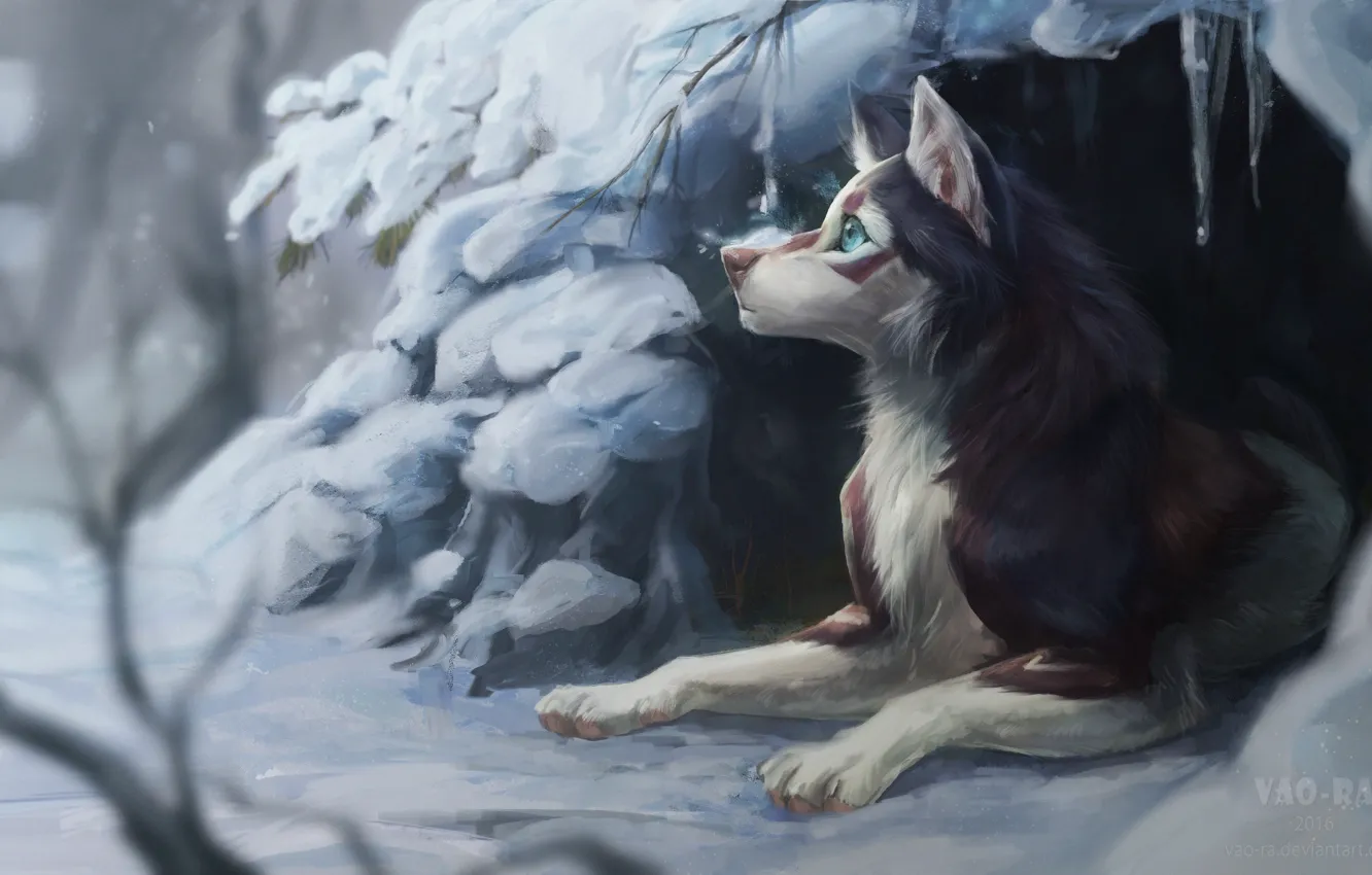 Фото обои зима, снег, природа, собака, нора, by Vao-Ra