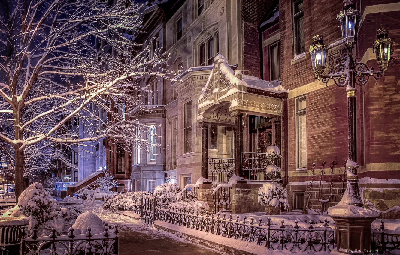 Фото обои зима, снег, деревья, дом, здание, Чикаго, фонарь, Иллинойс