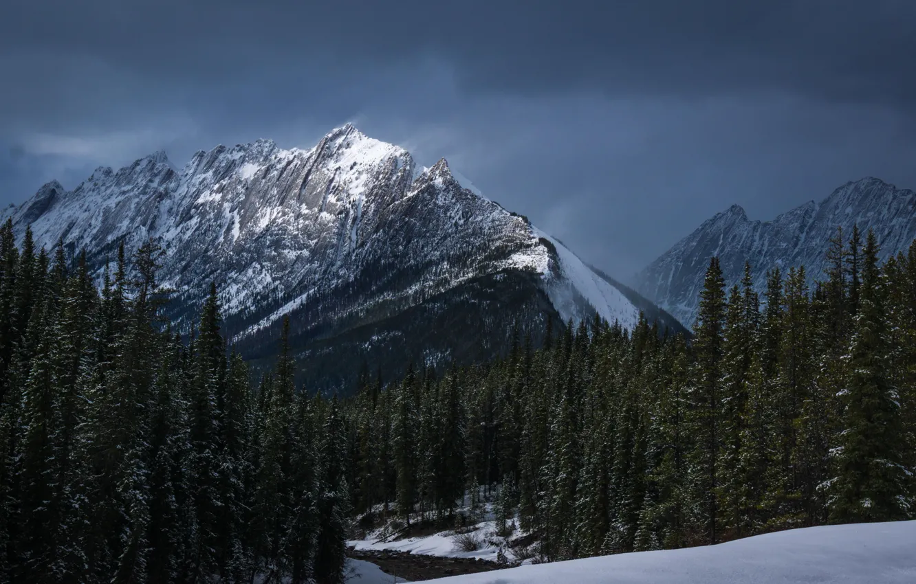 Фото обои зима, лес, небо, снег, деревья, горы, тучи, природа