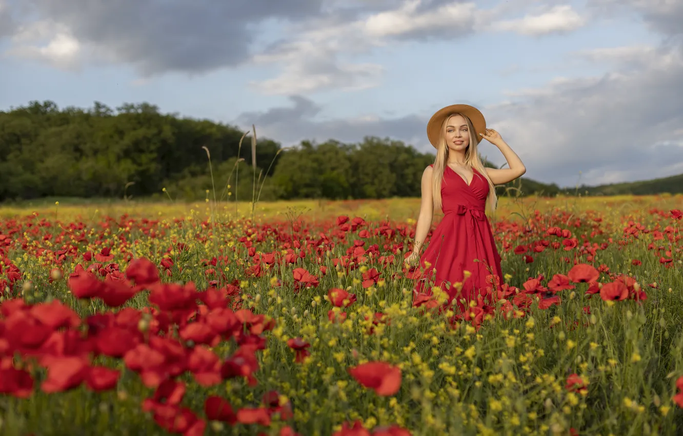 Фото обои поле, лето, девушка, цветы, природа, маки, шляпа, платье
