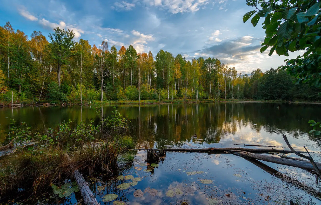 Фото обои осень, лес, пейзаж, природа, озеро, отражение