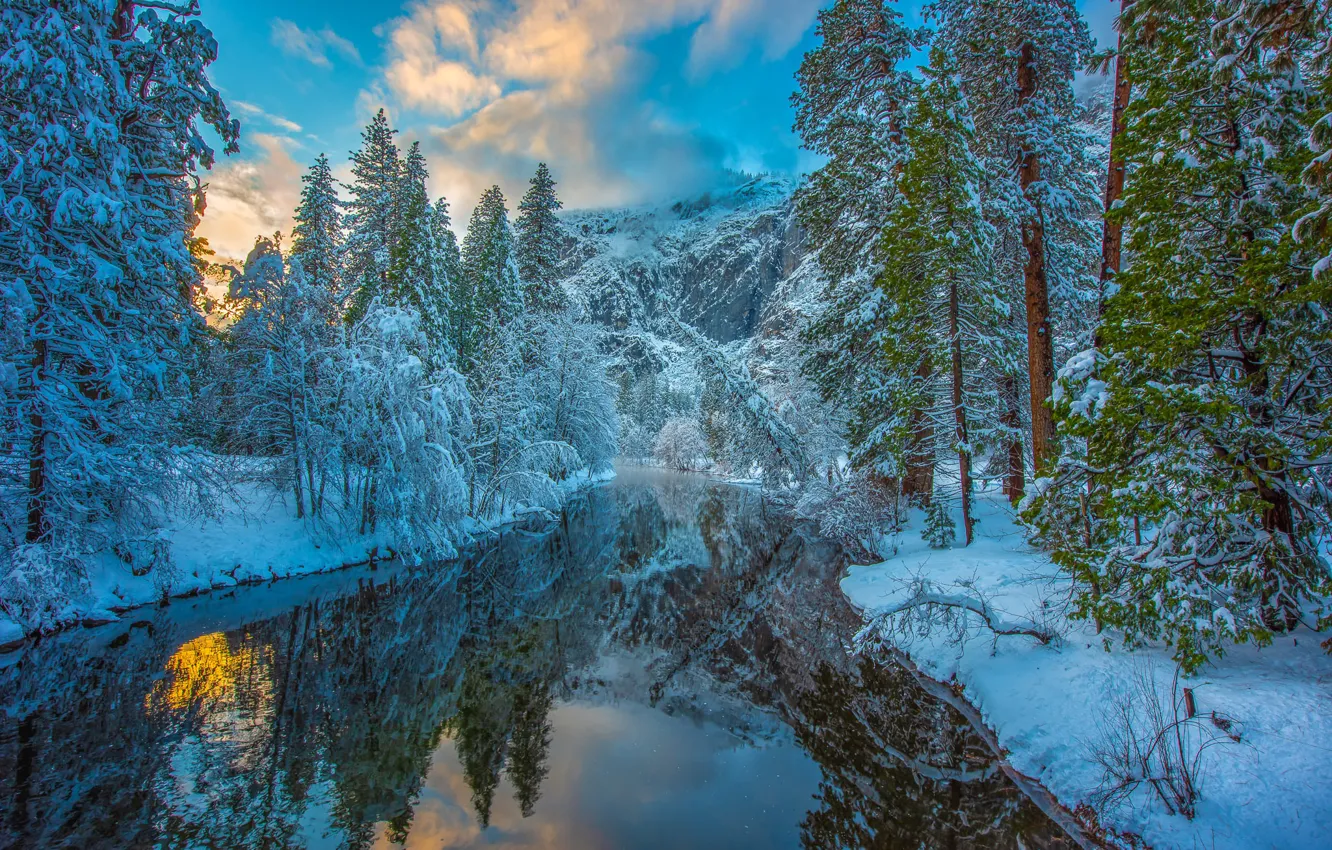 Фото обои зима, лес, снег, деревья, горы, отражение, река, Калифорния