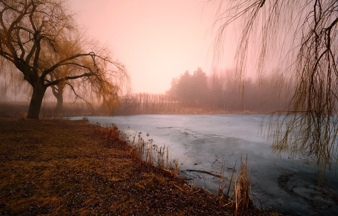 Фото обои зима, природа, озеро, утро