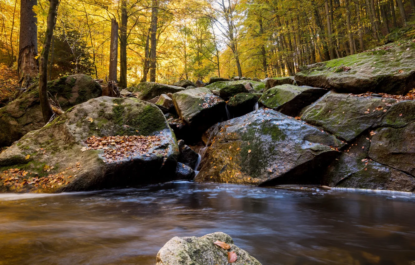 Фото обои осень, лес, вода, река, камни, водопад, hdr, ultra hd