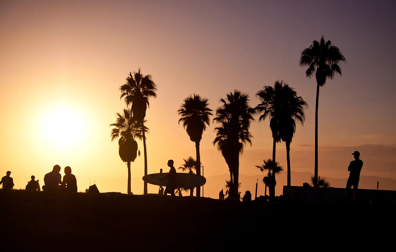 Фото обои summer, california, sunset, usa, surf, los angeles, palm, vence beach