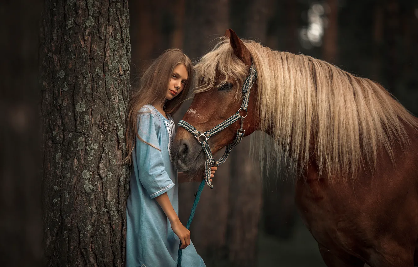 Фото обои взгляд, дерево, конь, лошадь, платье, грива, девочка
