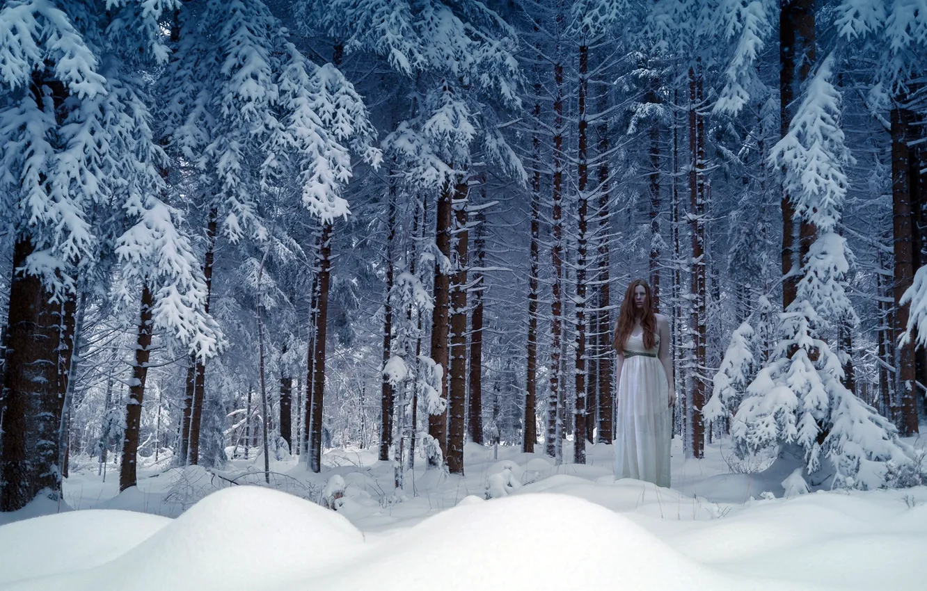 Фото обои лес, девушка, снег, природа