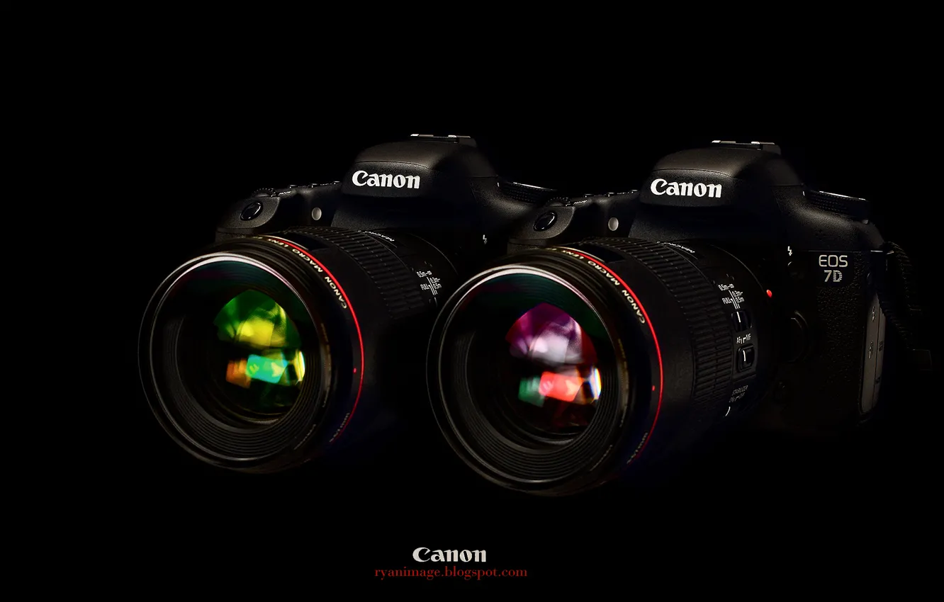 Фото обои обои, черный фон, Canon, EF 100mm F2.8L macro Hybrid IS, EOS 7D, два фотоаппарата