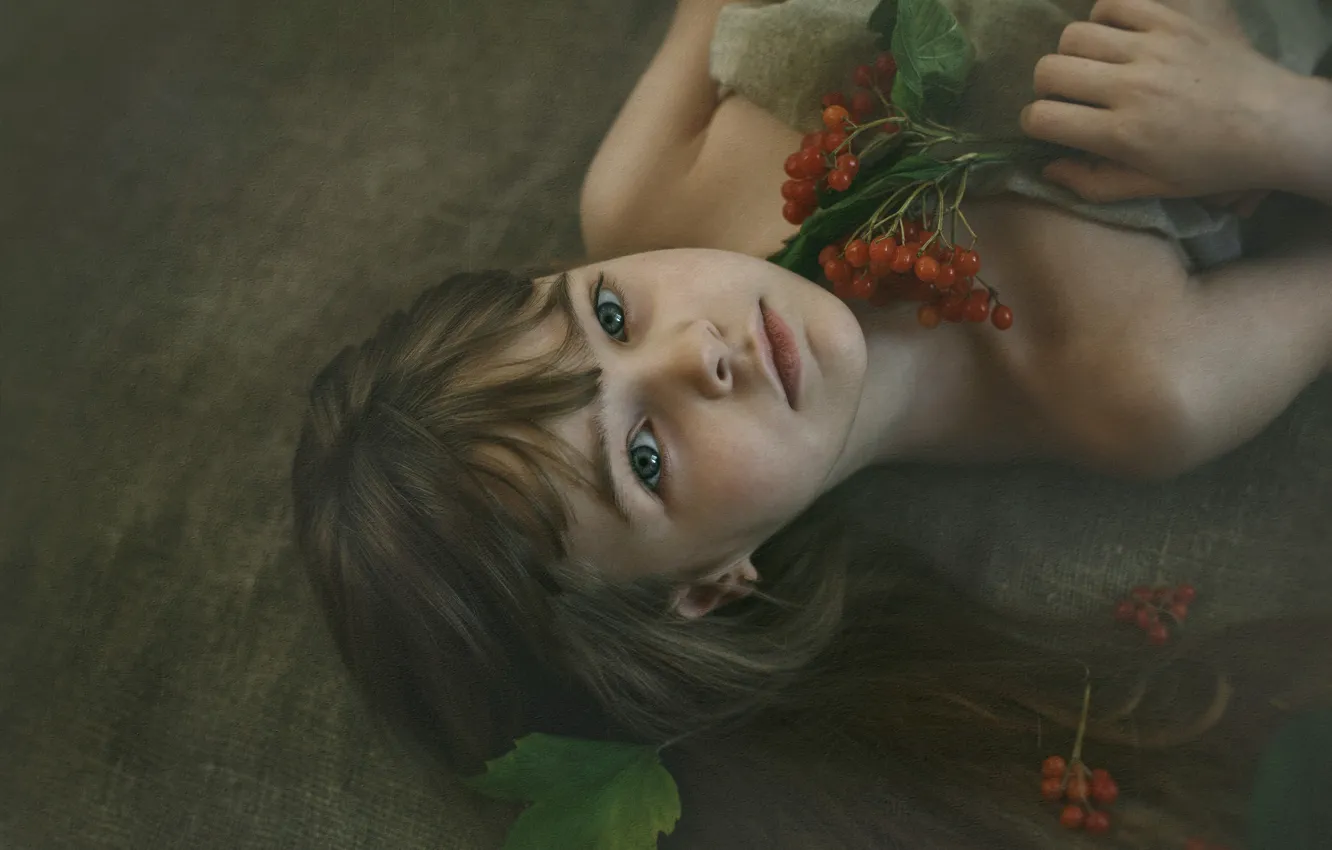 Фото обои листья, ягоды, портрет, обработка, калина