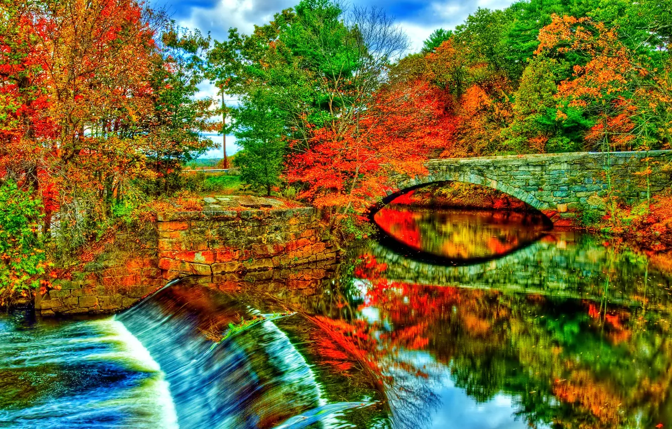 Фото обои осень, небо, деревья, мост, река, арка, дамба