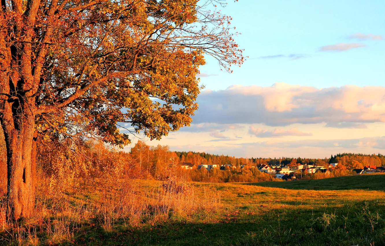 Фото обои осень, небо, облака, деревья, дома, городок, поселок