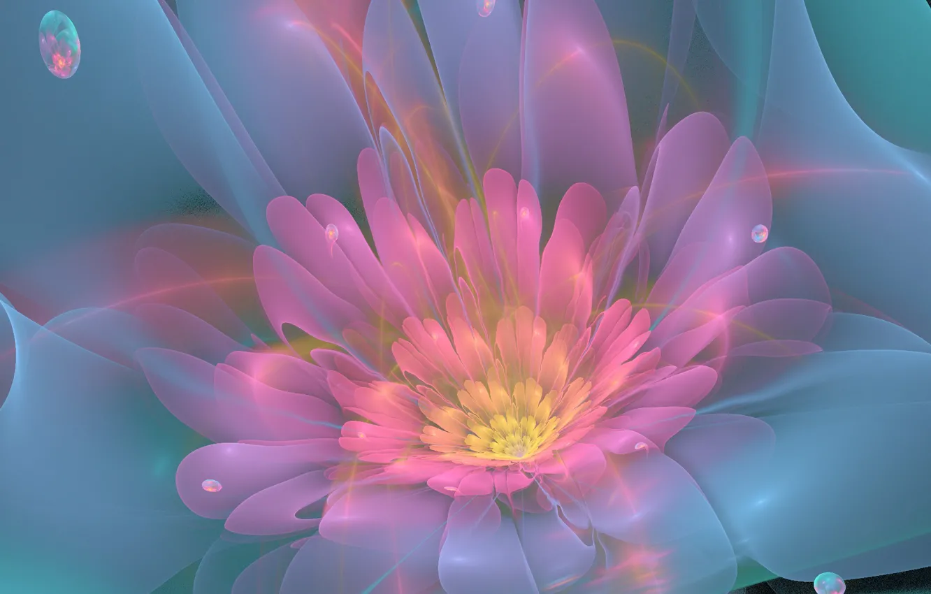 Фото обои цветок, линии, розовый, лепестки, зелёный