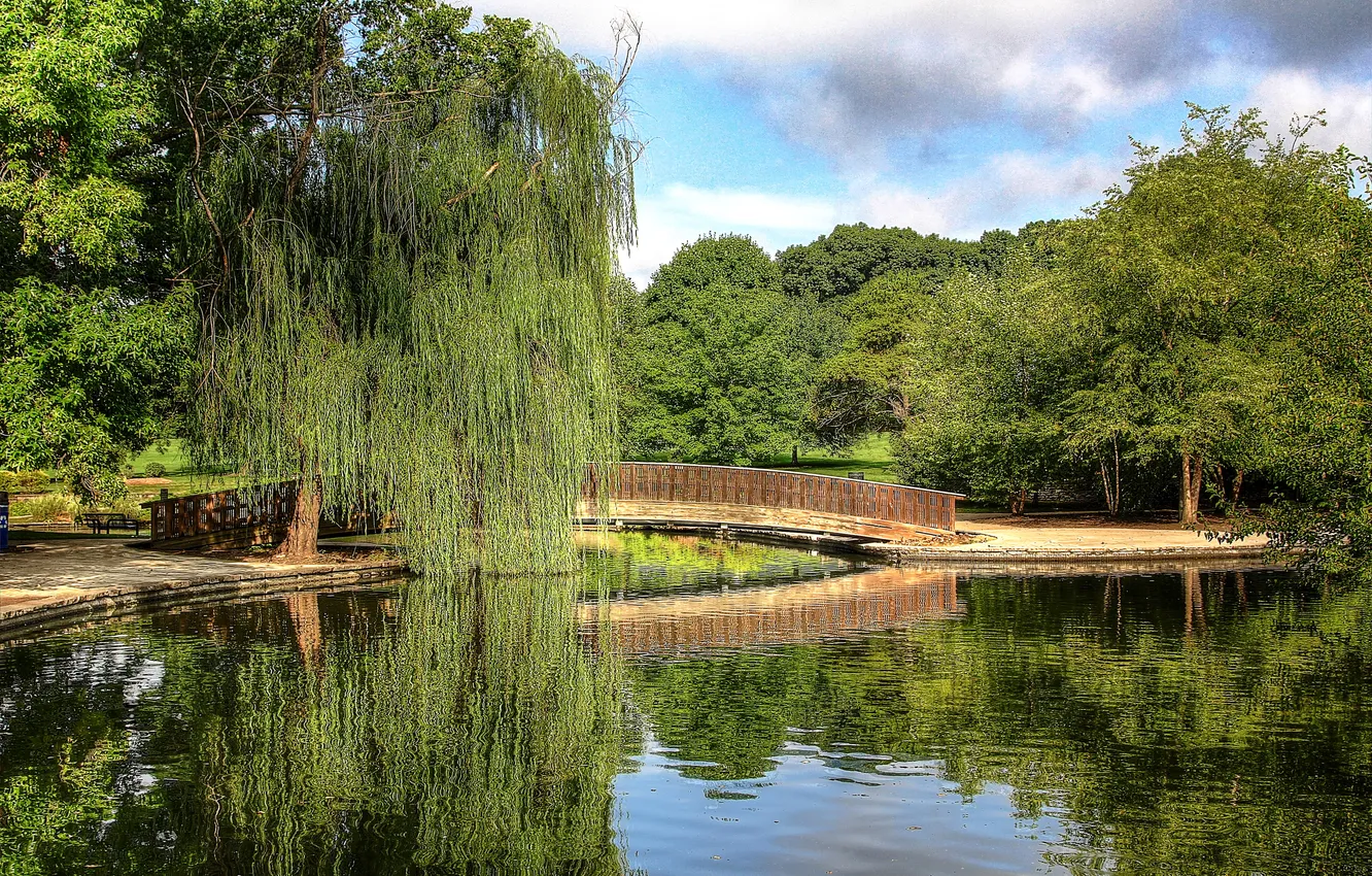 Фото обои вода, деревья, мост, пруд, парк, отражение