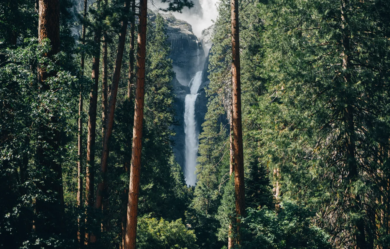 Фото обои rock, trees, nature, wood, waterfall