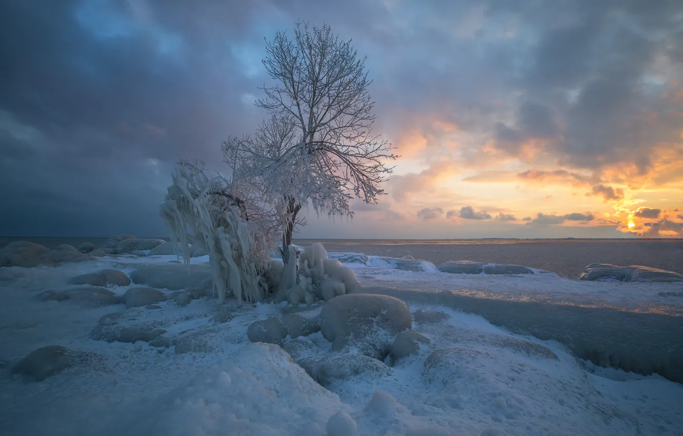 Фото обои лед, зима, снег, деревья, берег, сосульки, водоем