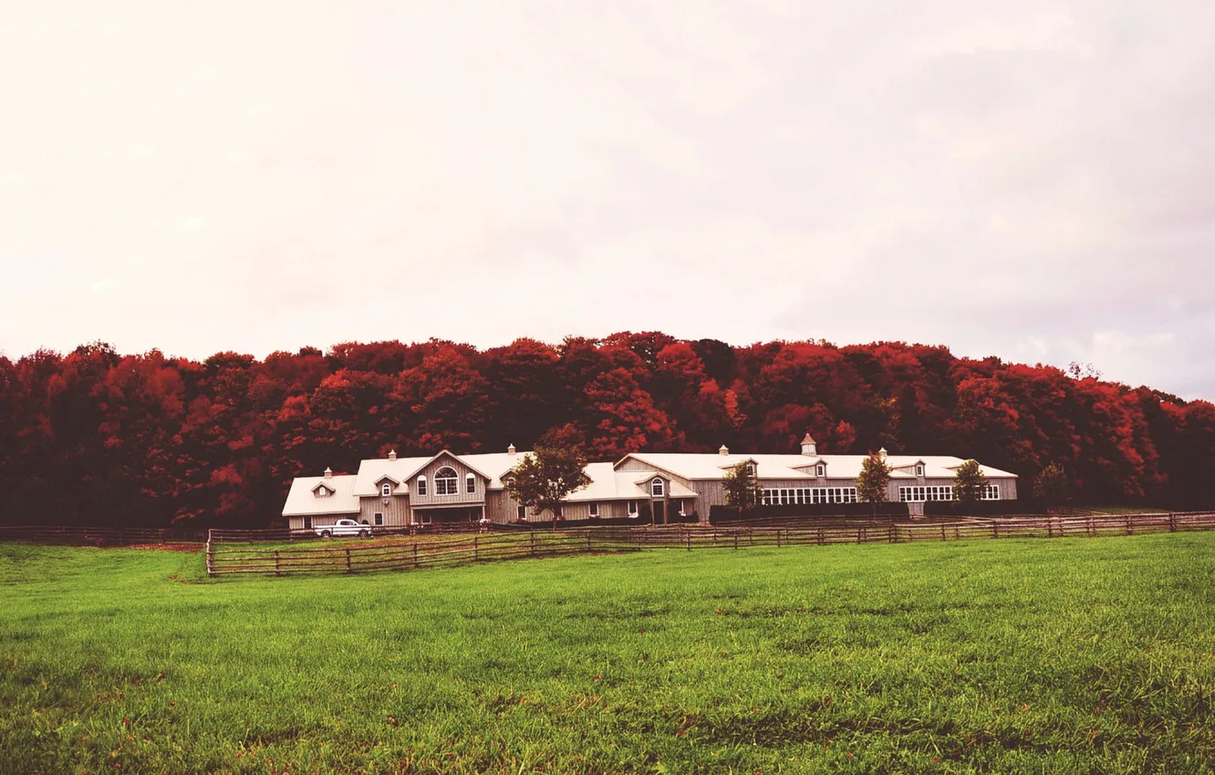 Фото обои машина, небо, деревья, дом, красные