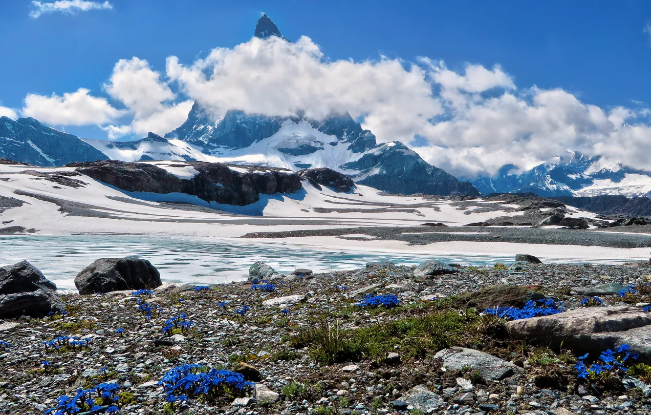 Фото обои Matterhorn, Schweiz, Wallis