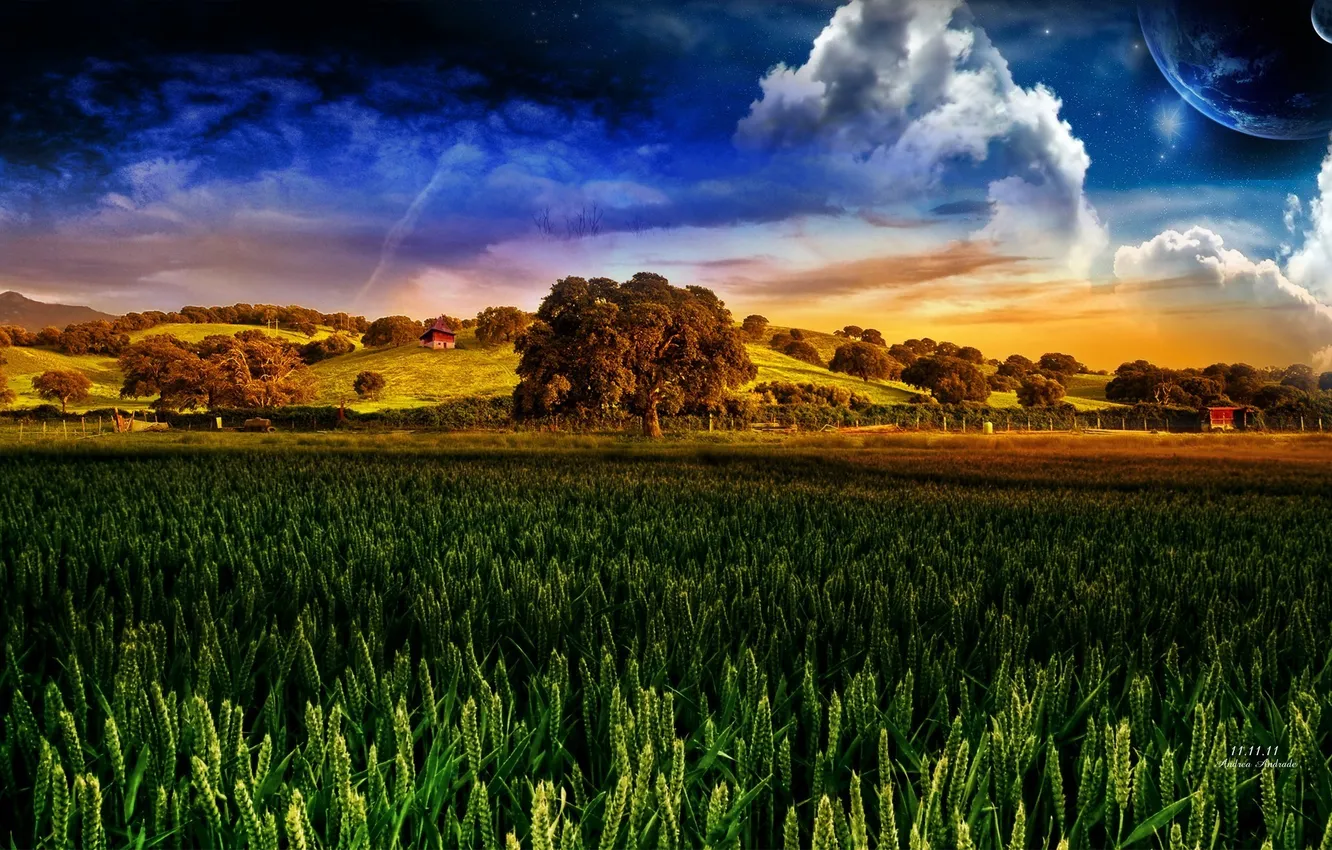 Фото обои поле, небо, дерево, Andrea Andrade