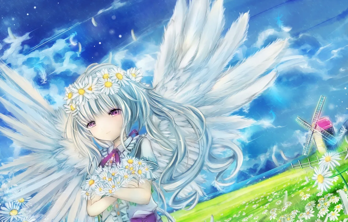 Фото обои небо, девушка, облака, цветы, природа, ромашки, крылья, ангел