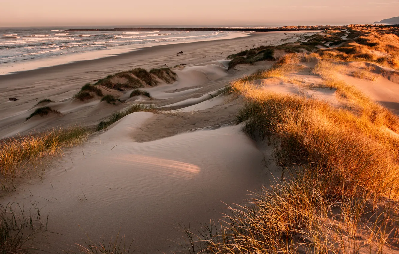 Фото обои песок, море, небо, трава, закат, берег