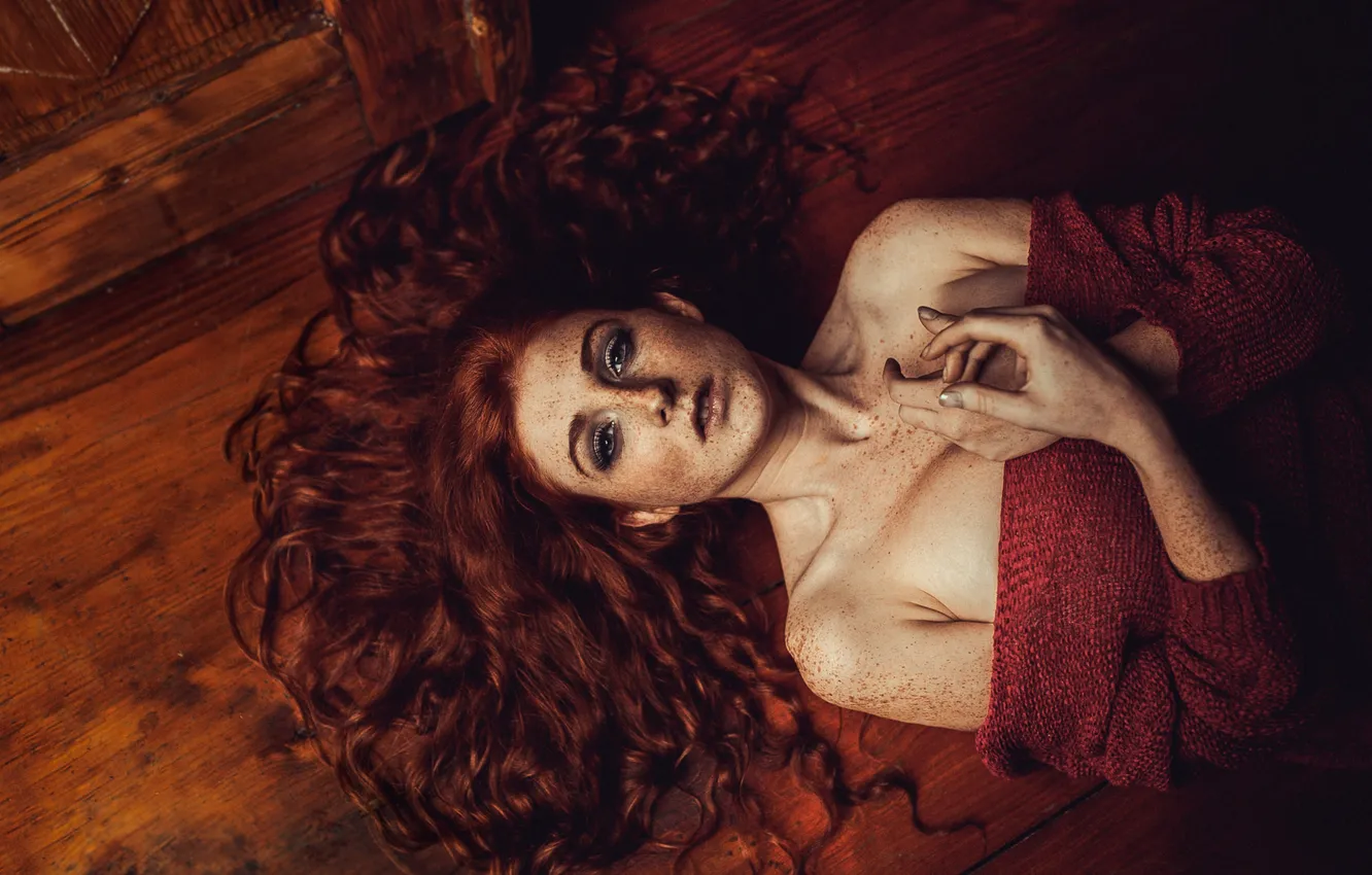 Фото обои лицо, фон, модель, волосы, шатенка, Sylwia