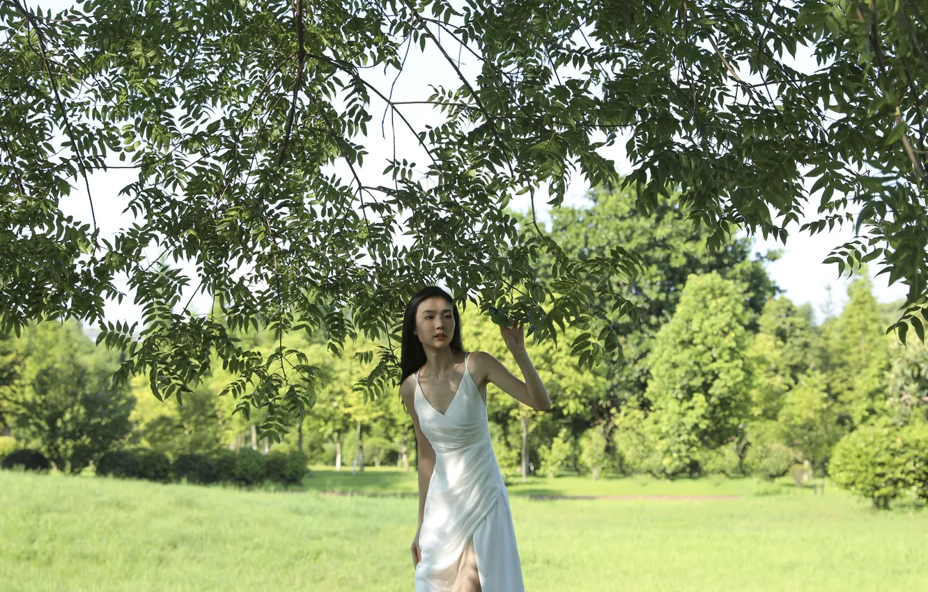 Фото обои Grass, Beautiful, Asian, Model, Woman, Trees, Pretty, Sunny