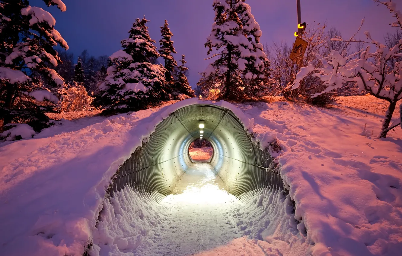 Фото обои снег, деревья, туннель