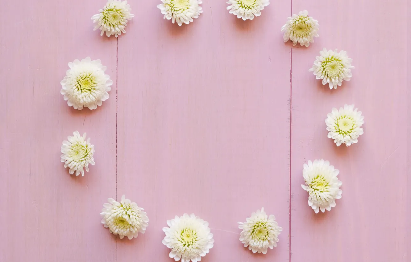 Фото обои цветы, white, белые, бутоны, wood, pink, flowers, decoration