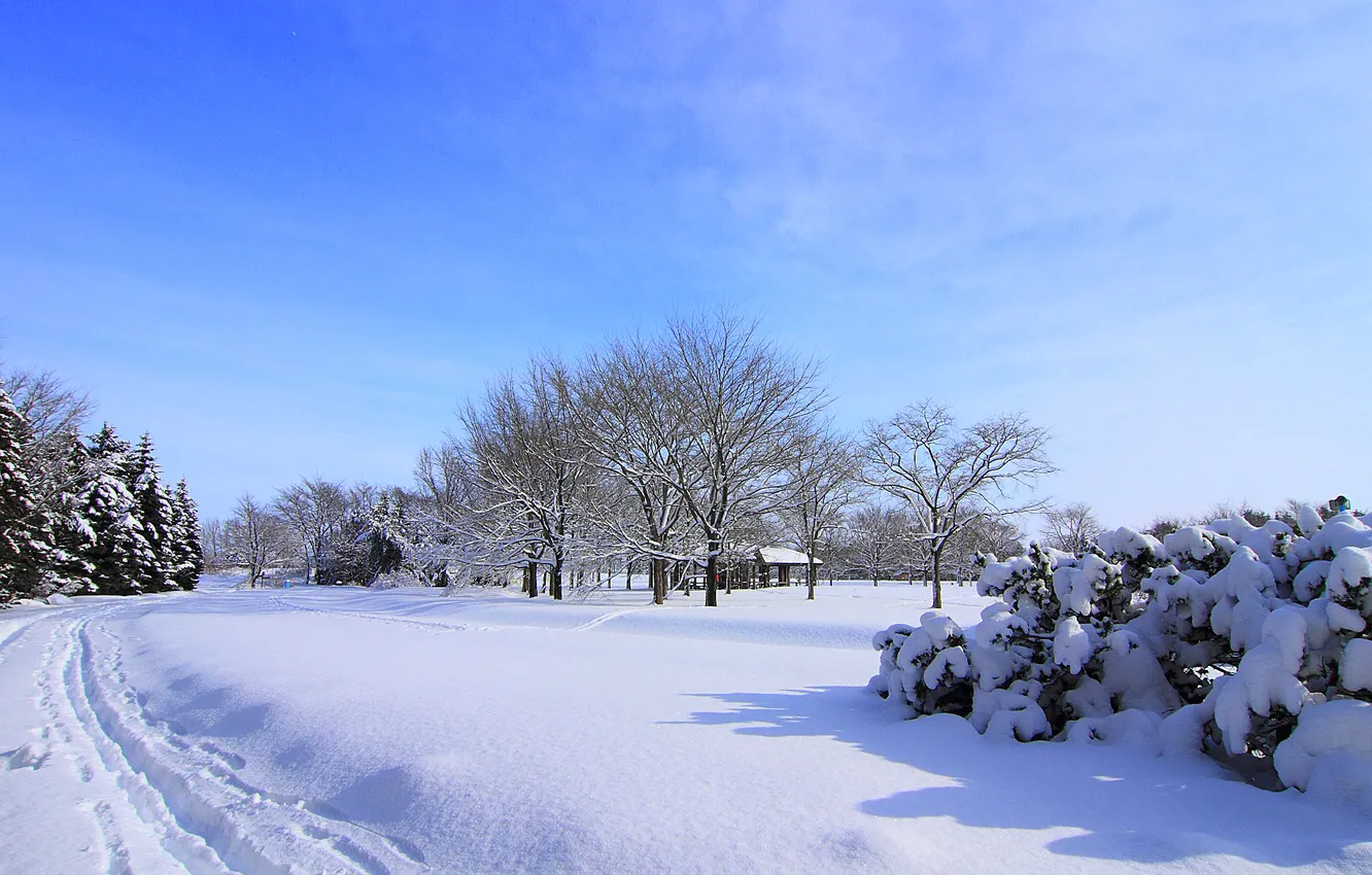 Фото обои зима, дорога, небо, снег, деревья, дом