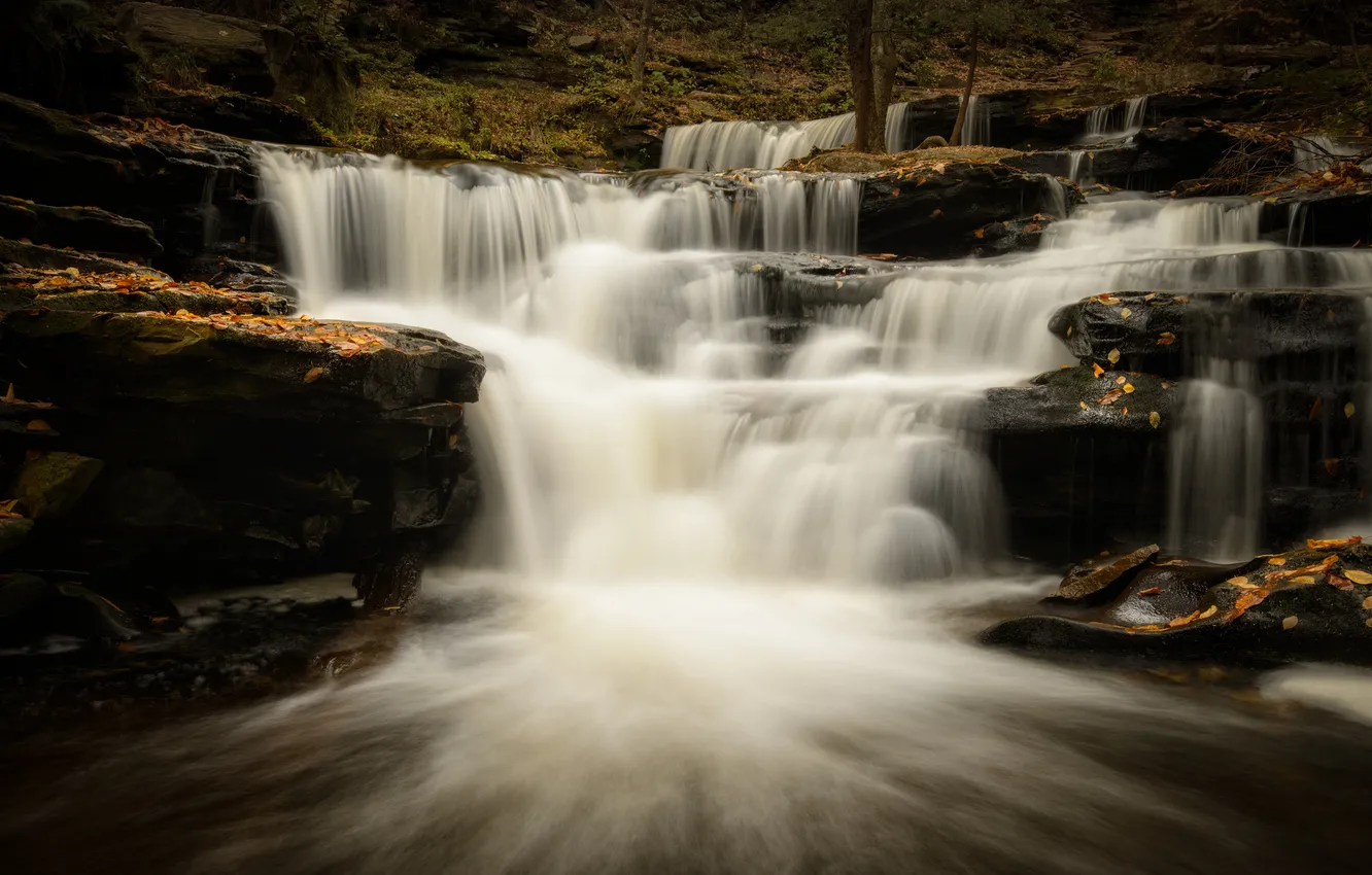 Фото обои осень, водопад, каскад, Pennsylvania, Ricketts Glen State Park