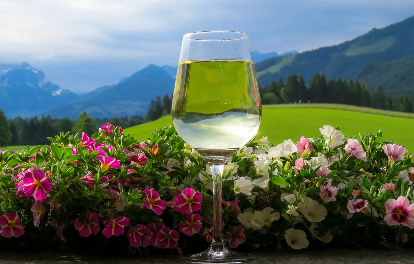 Фото обои зелень, лес, лето, небо, стекло, облака, пейзаж, цветы