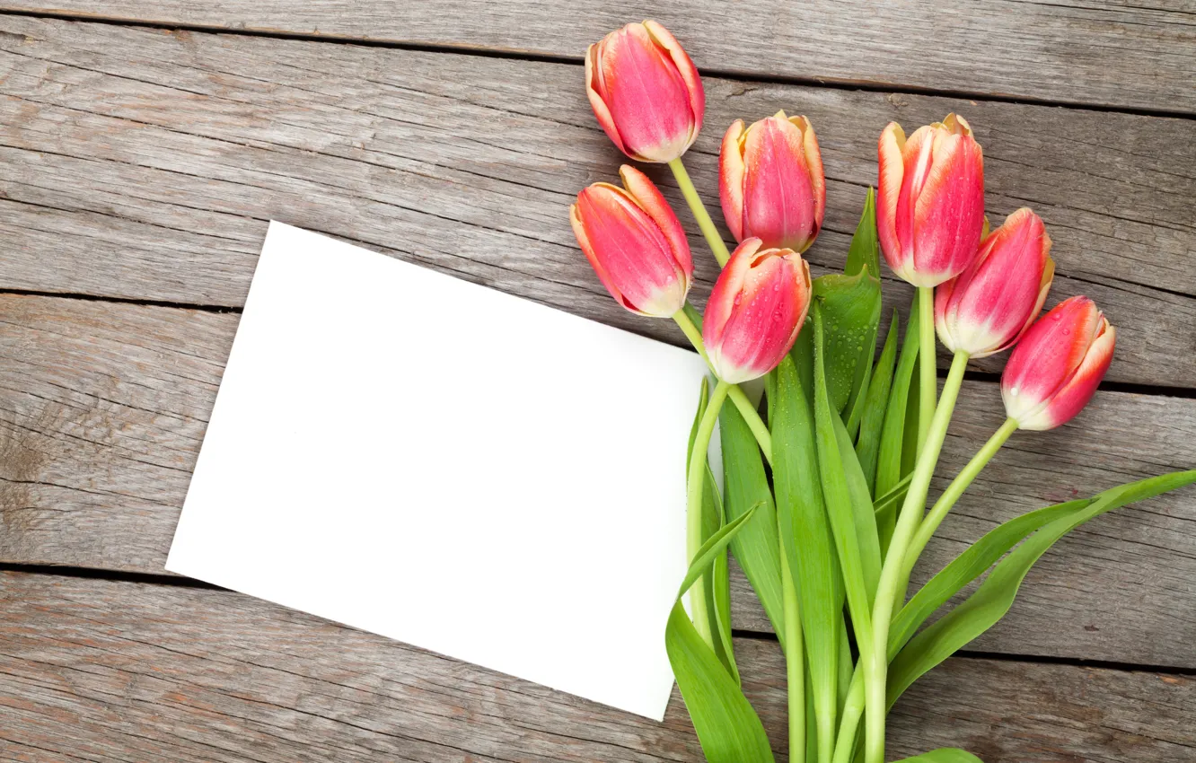 Фото обои тюльпаны, red, love, бутоны, fresh, flowers, romantic, tulips
