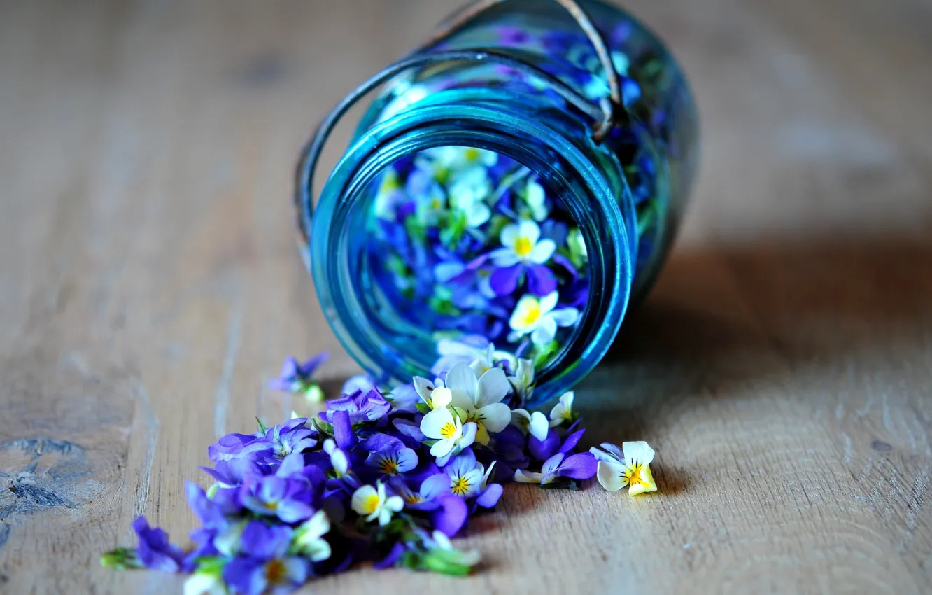 Фото обои цветы, синий, голубой, лепестки, баночка