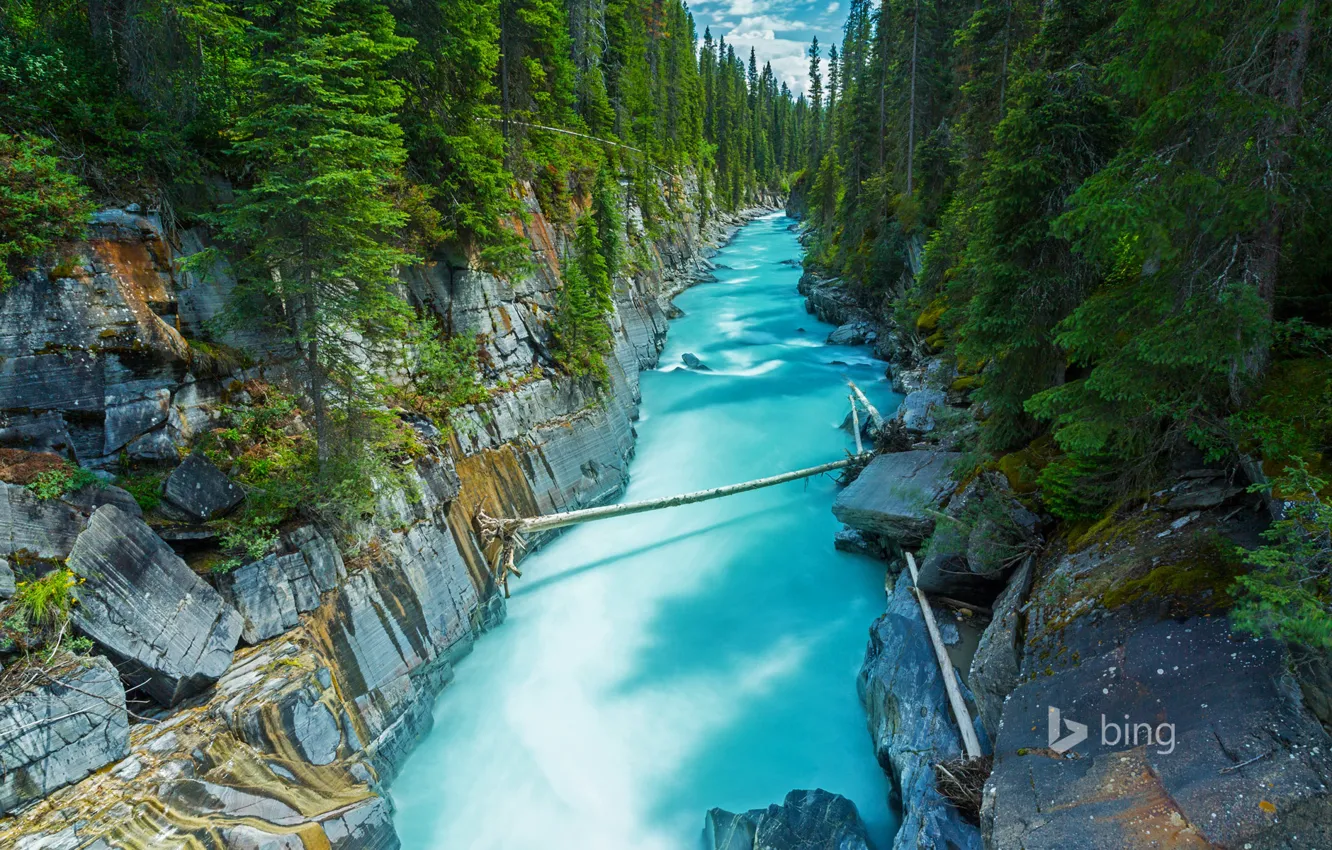 Фото обои лес, река, скалы, Канада, British Columbia, Британская Колумбия, National Park, Нума-Фолс