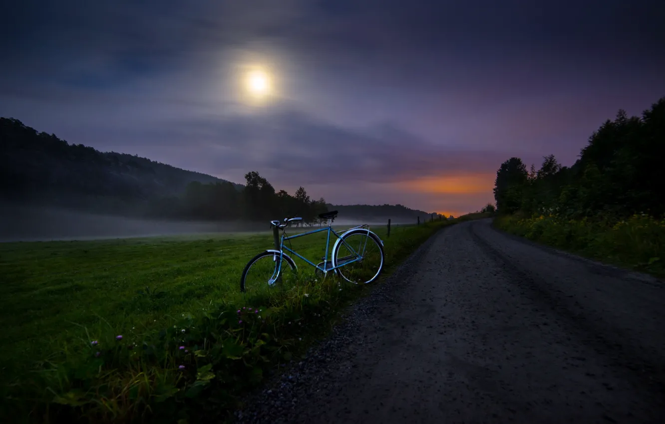 Фото обои дорога, ночь, велосипед