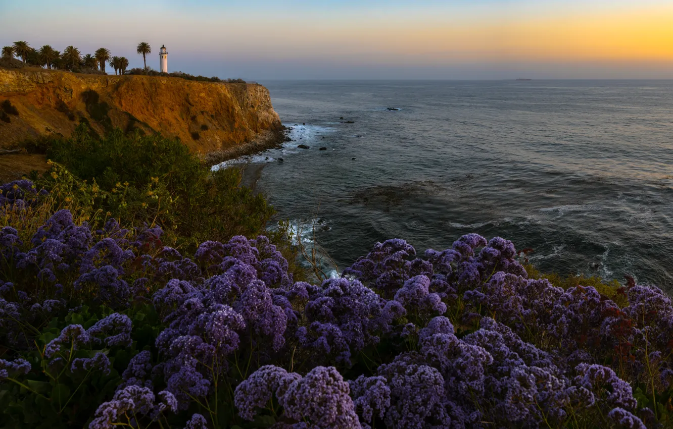 Фото обои пейзаж, закат, природа, обрыв, океан, берег, растительность, маяк