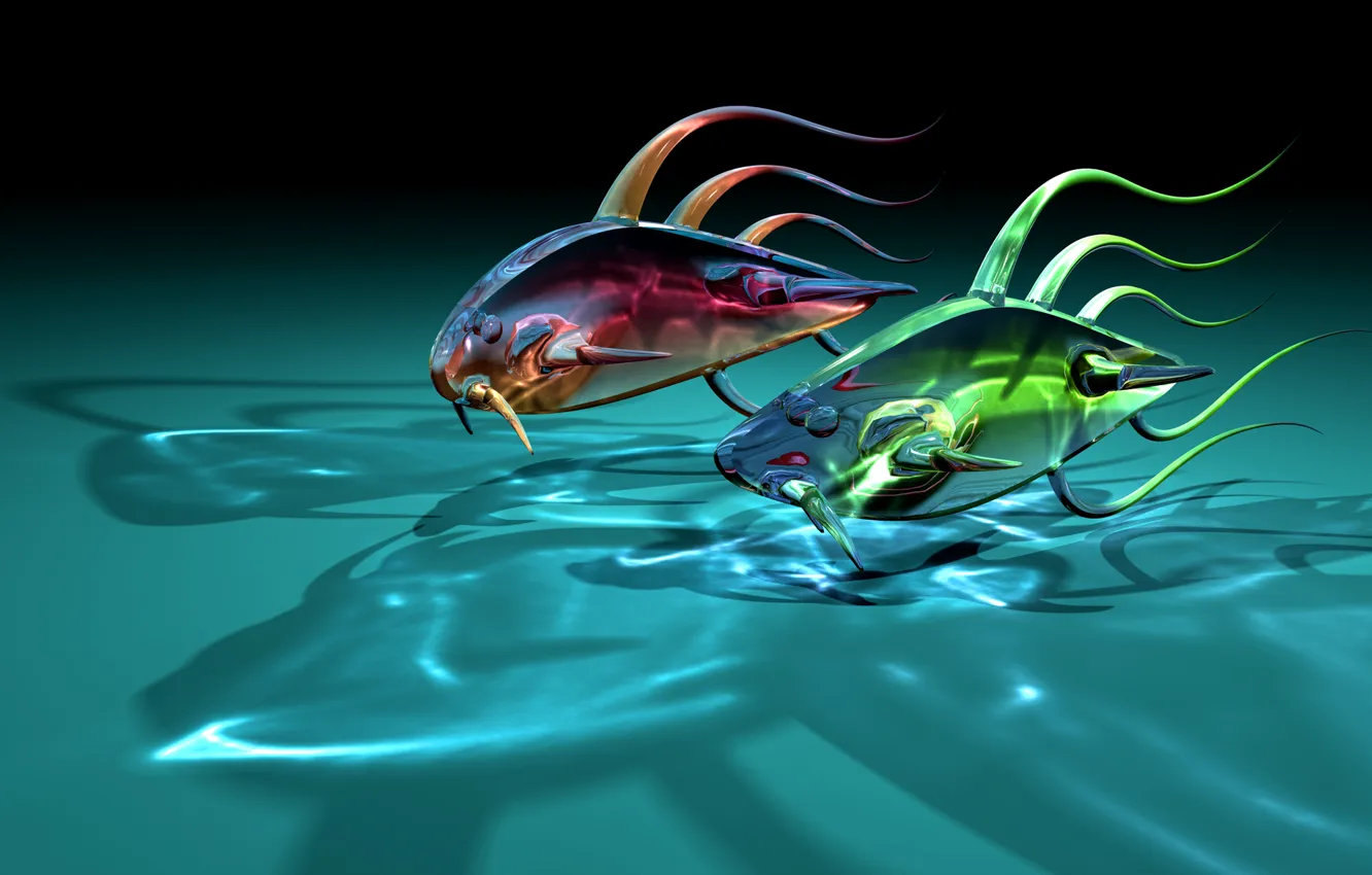 Фото обои стекло, рыбки, рыбы, две, арт, прозрачные, тени