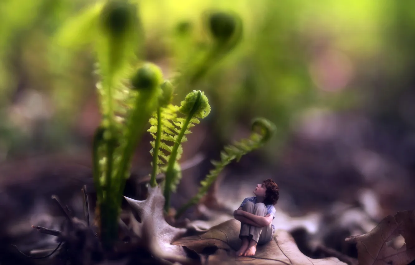 Фото обои сон, растения, мальчик