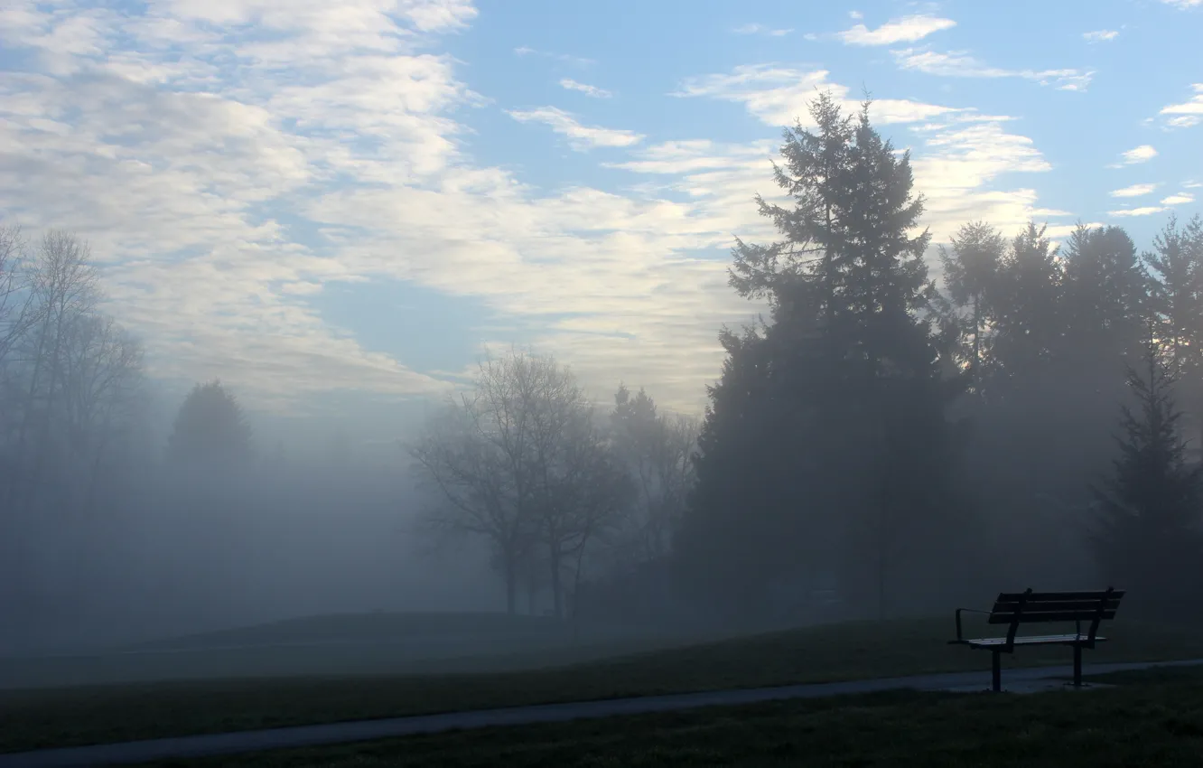 Фото обои туман, настроение, утро, скамья