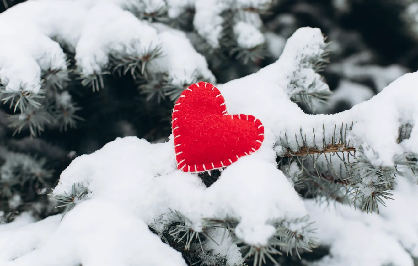Фото обои зима, снег, любовь, сердце, елка, red, love, heart