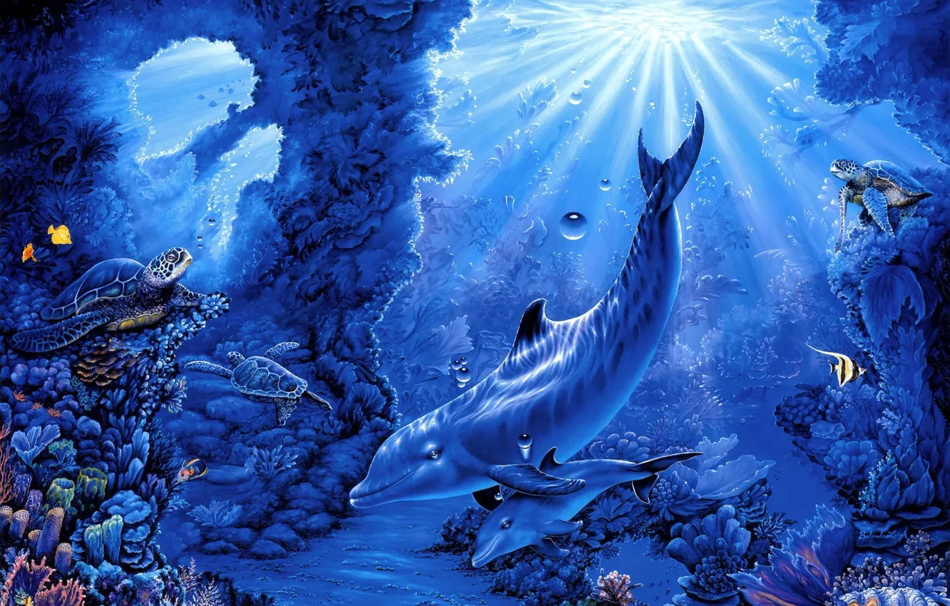 Фото обои лучи, рыбы, кораллы, арт, дельфины, морское дно, черепахи, Belinda Leigh
