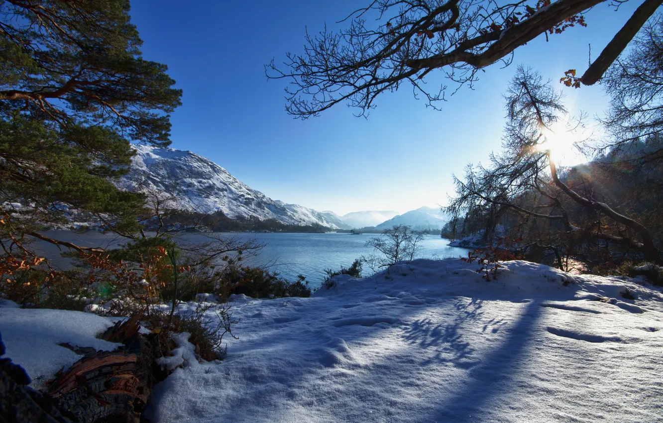 Фото обои зима, лес, озеро, гора
