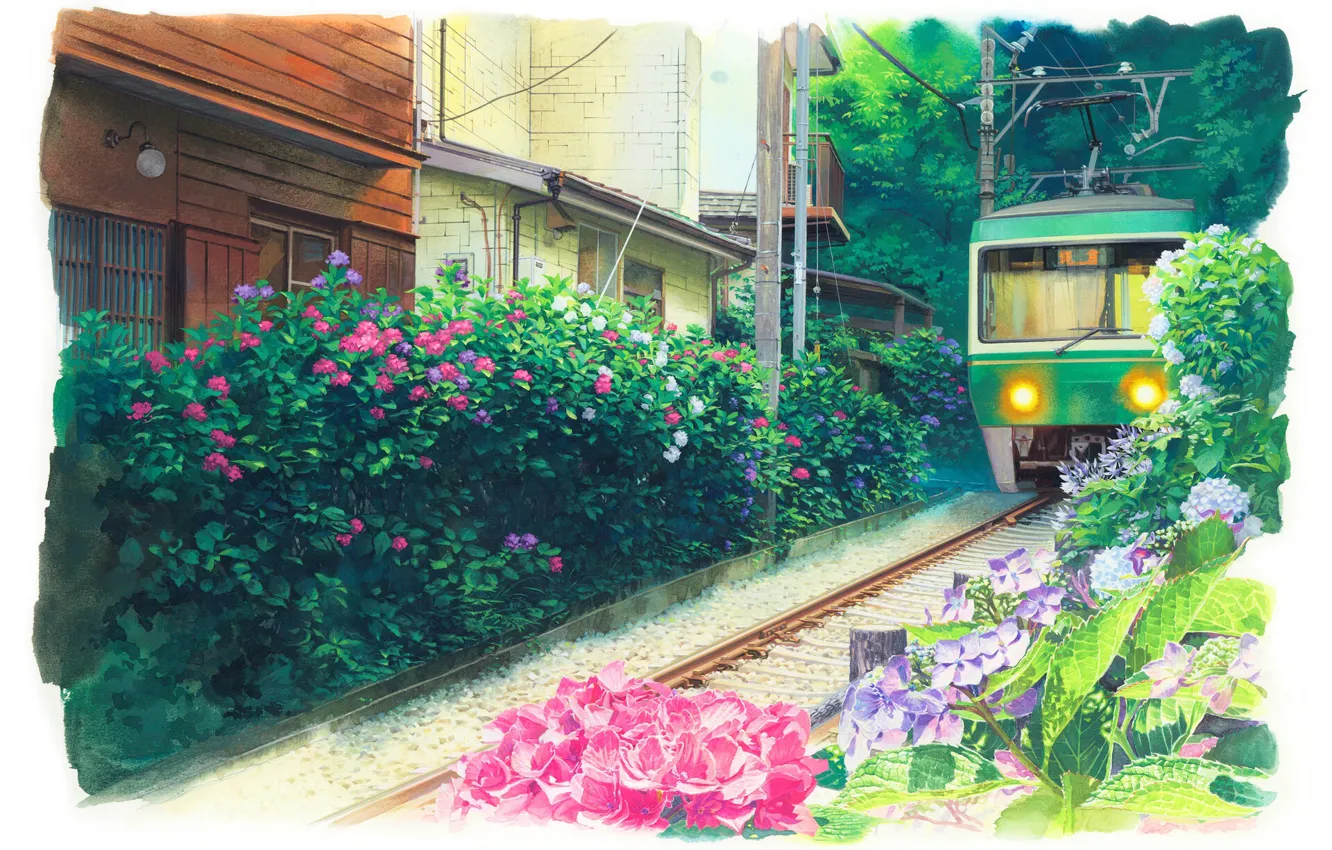 Фото обои Япония, трамвай, гортензия, трамвайные пути, зеленые деревья, летний день, дома жилые, by Kita Hideaki