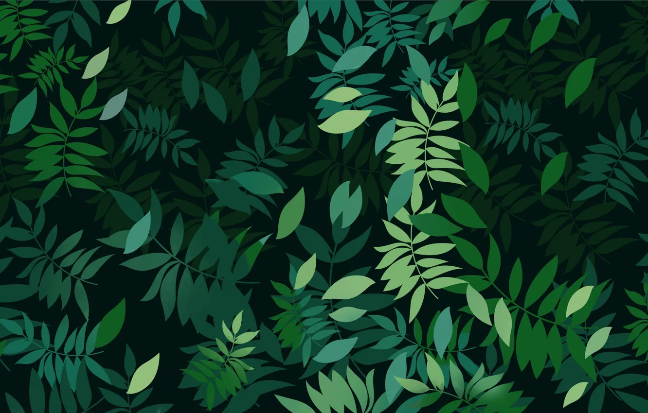 Фото обои Листья, Растения, Leaves, Plants, Green Background, Зеленый Фон