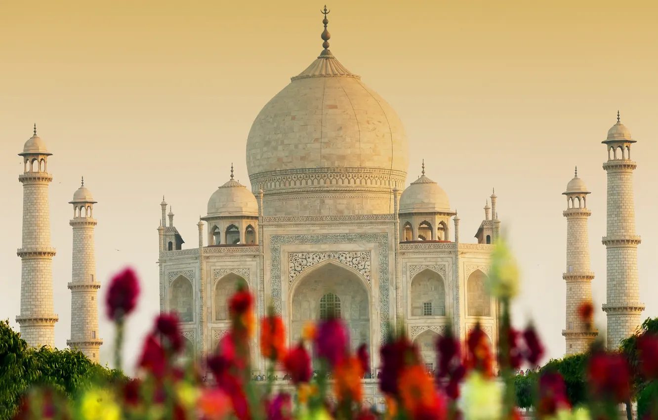 Фото обои замок, Индия, памятник, храм, Taj Mahal, Тадж Махал, Agra, India