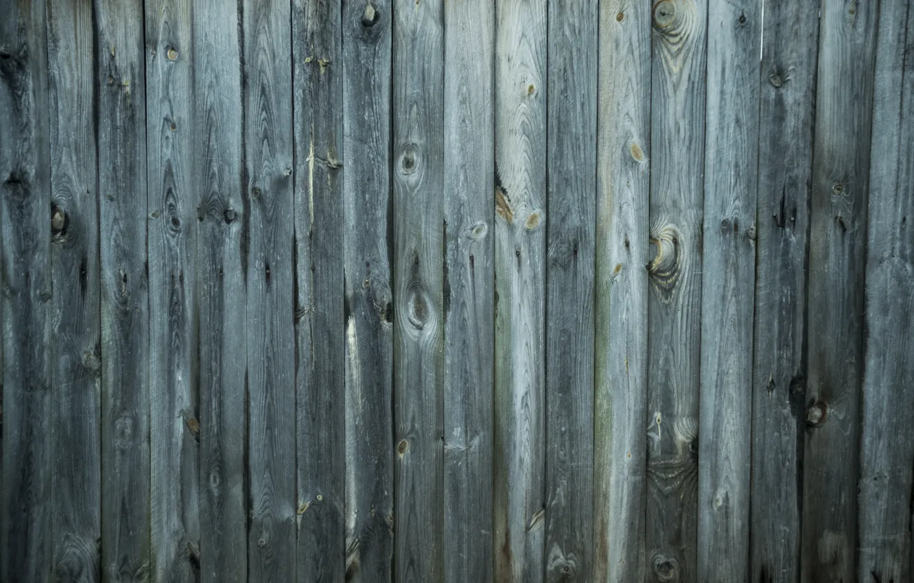 Фото обои забор, сучки, древесина, берюза, доски.текстура