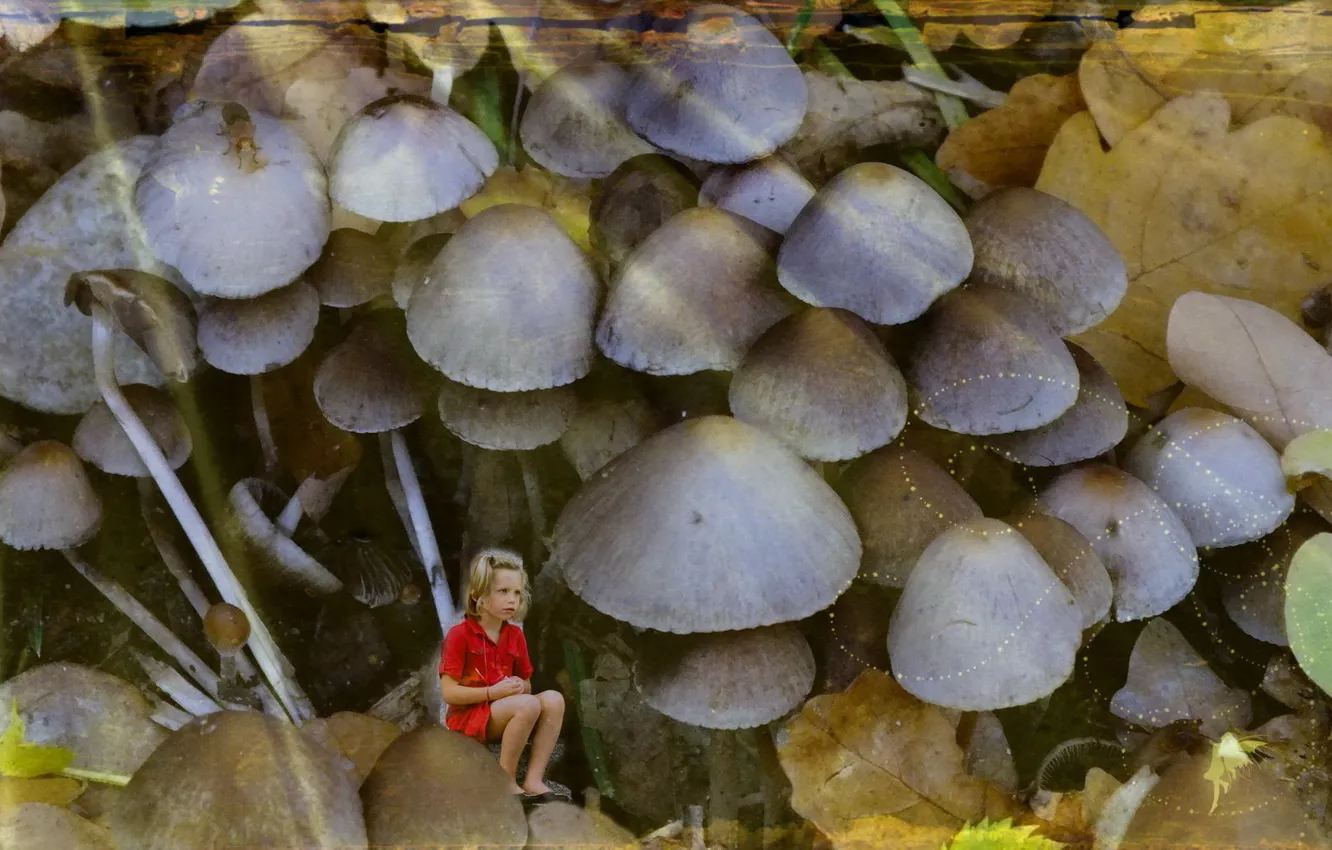 Фото обои стиль, фон, грибы, девочка