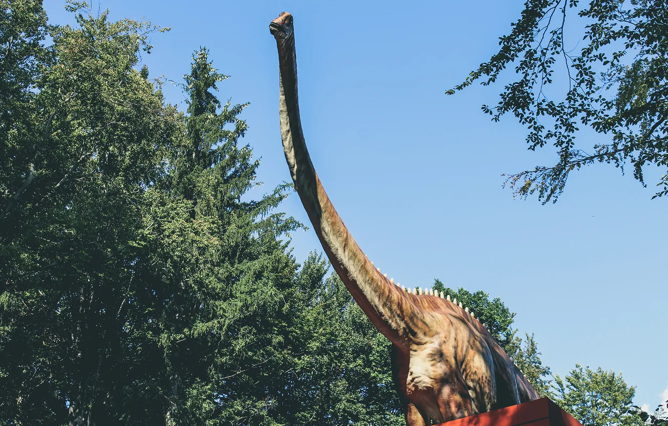 Фото обои динозавр, шея, dinosaur, диплодок