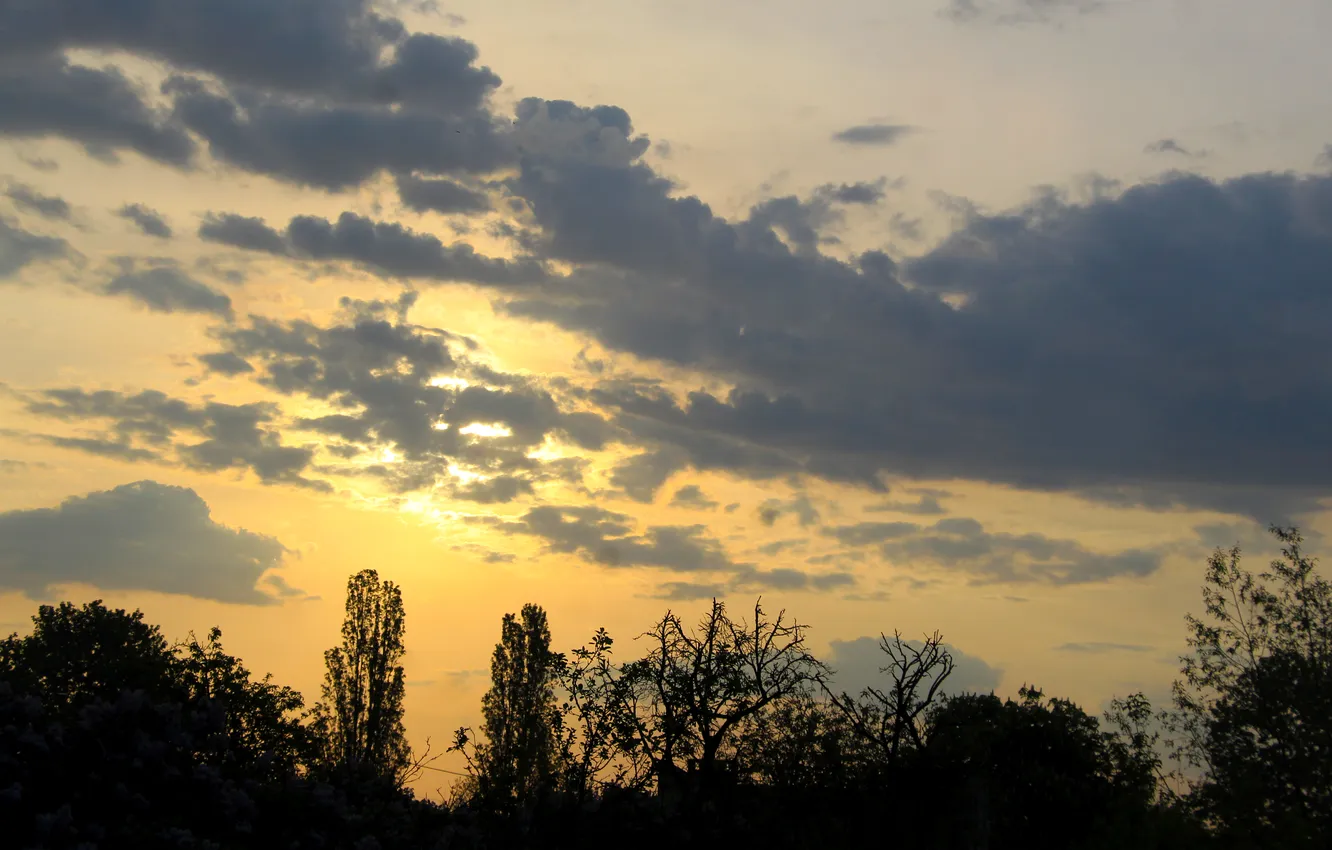 Фото обои sky, sunset, cloud